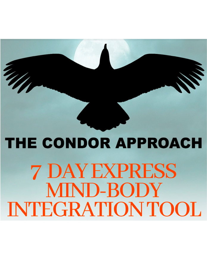 the condor approach